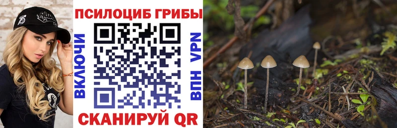 ссылка на мегу ССЫЛКА Порхов Псилоцибиновые грибы GOLDEN TEACHER купить наркоту